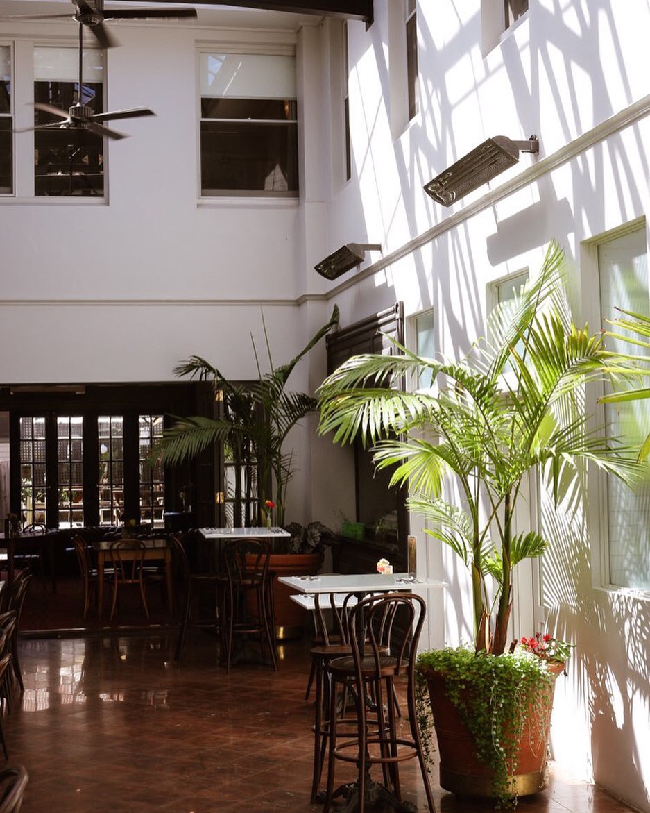 The Alpine Hotel atrium with natural light and palms