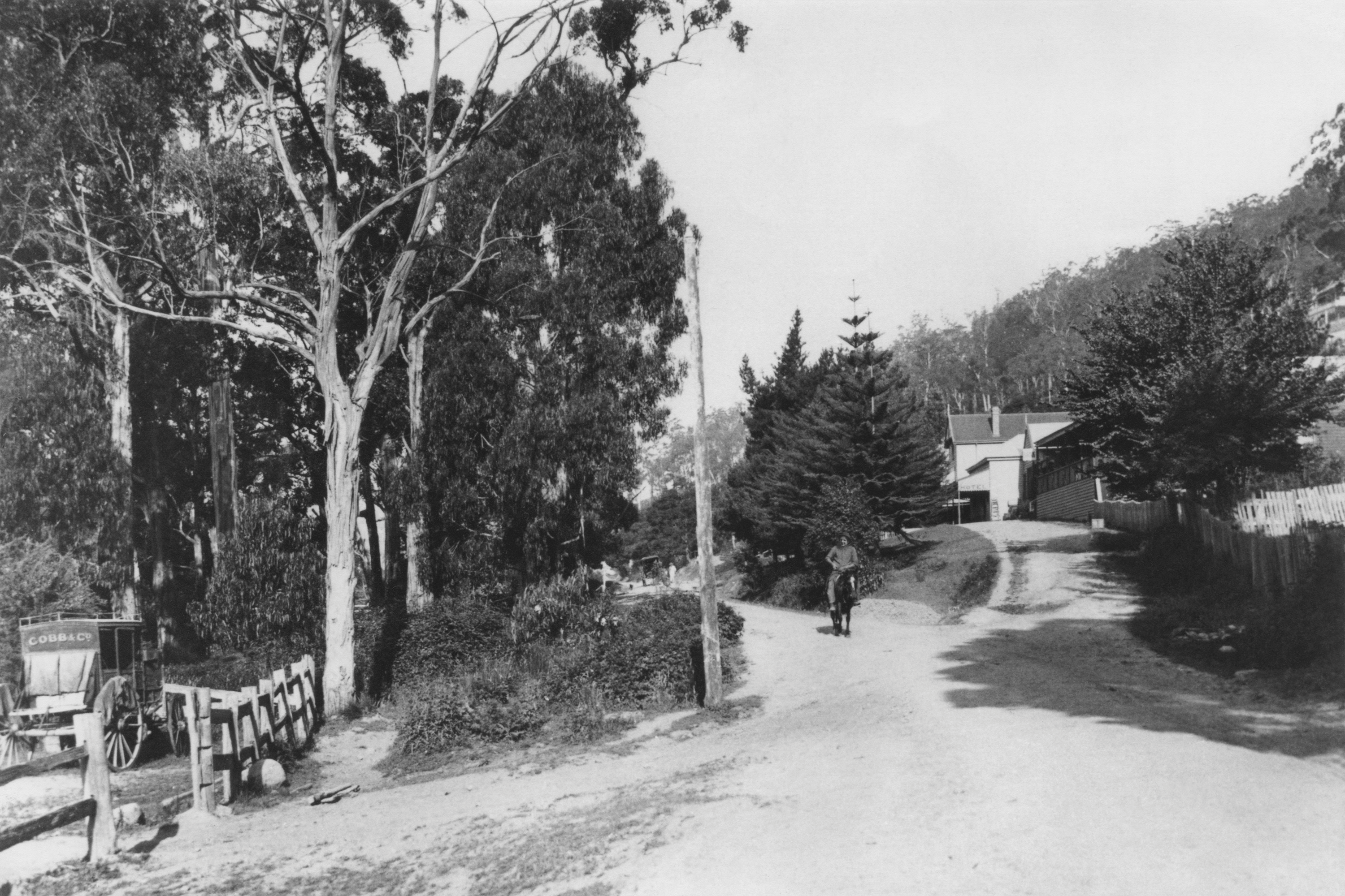 Archival photograph of the original Alpine Hotel and Warburton road, with a Cobb & Co coach