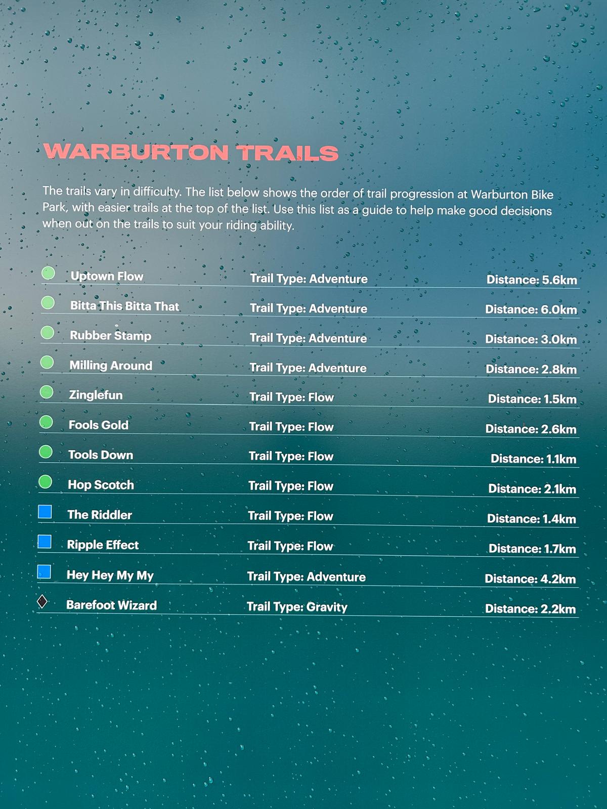 Warburton Bike Park trail action shot