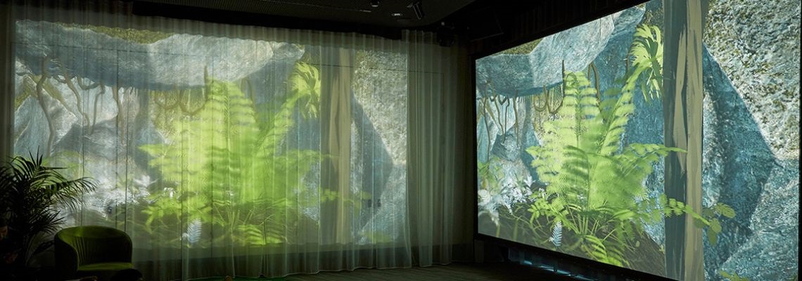 Step into the Daintree with Gondwana VR